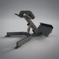 DHZ Fitness | Strength Equipment, EVOST II Strength, A3045, Back Extension