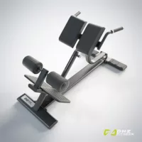 DHZ Fitness | Strength Equipment, PRESTIGE PRO Strength, E7045, PRESTIGE PRO Back Extension