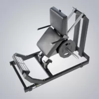 DHZ Fitness | Plate Loaded, Y900, Y945, CALF